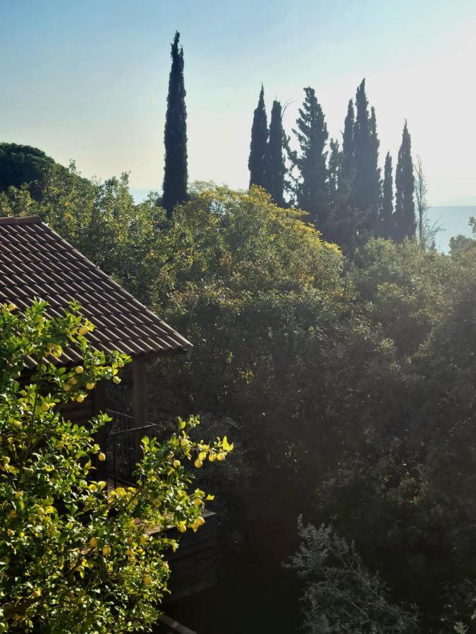 Villa Roof Of The Galilee Amirim Esterno foto